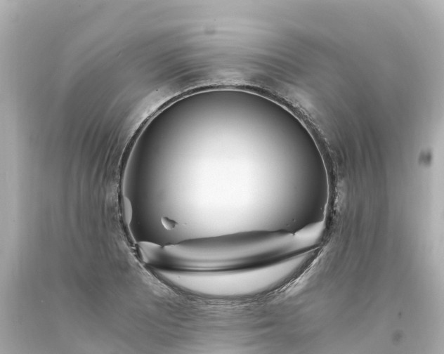 X0000094201081200711021046