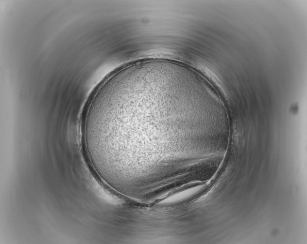 X0000094201082200711021046