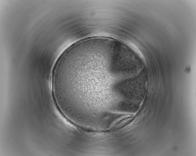 X0000094201084200711021046