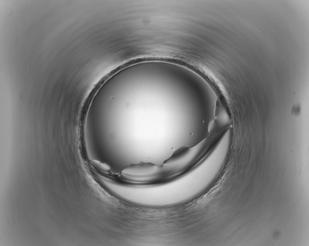 X0000094201085200711021046