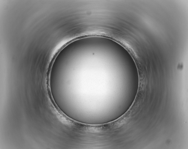 X0000094201086200711021046