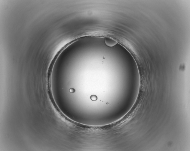 X0000094201087200711021046