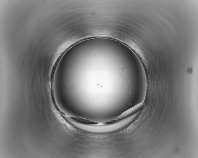 X0000094201088200711021046