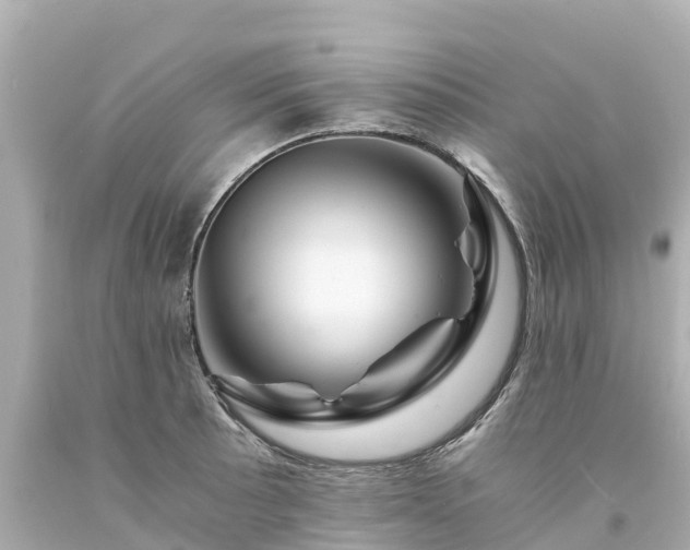 X0000094201089200711021046