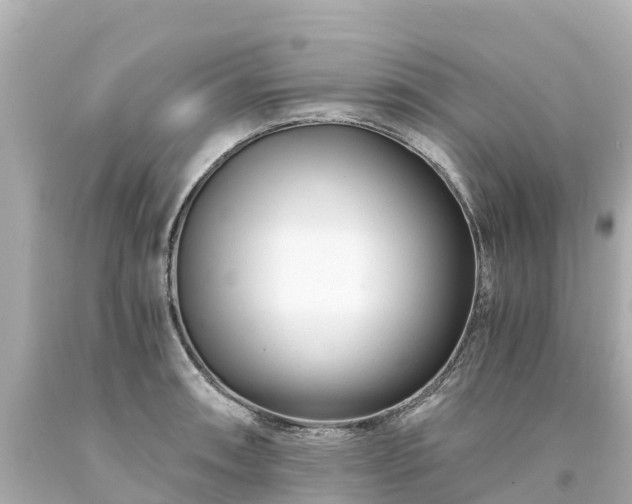 X0000094201090200711021046