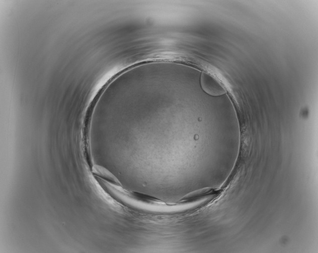 X0000094201091200711021046