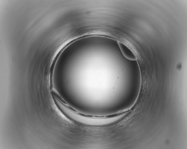 X0000094201092200711021046