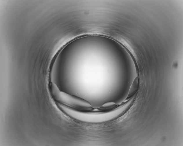 X0000094201093200711021046