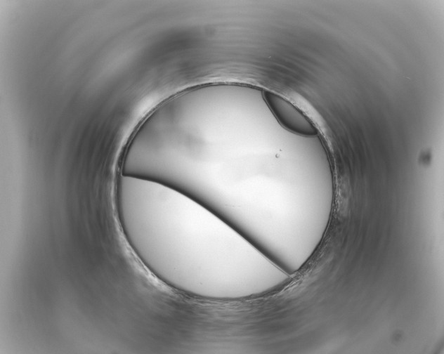 X0000094201096200711021046