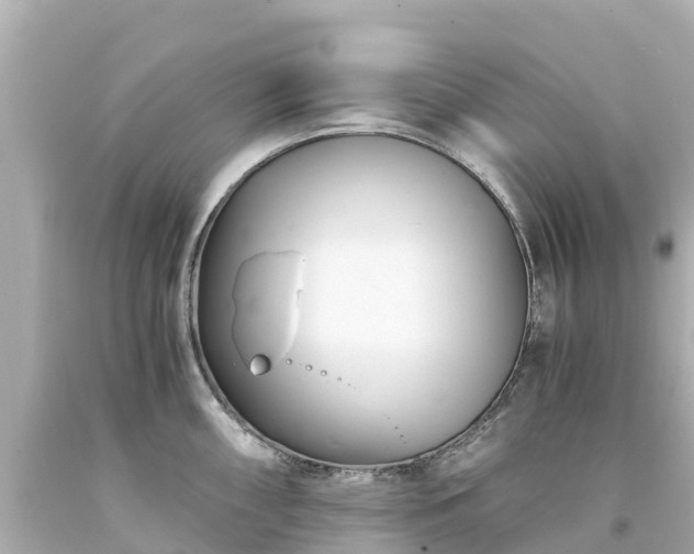 X0000094201098200711021046