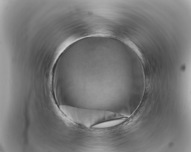 X0000094201099200711021046