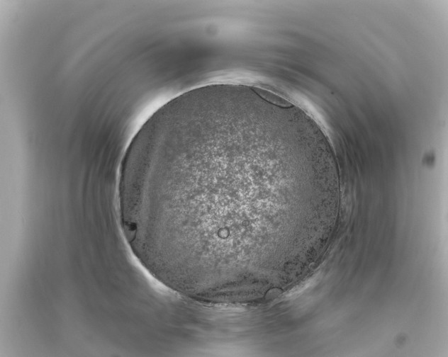 X0000094201103200711021045
