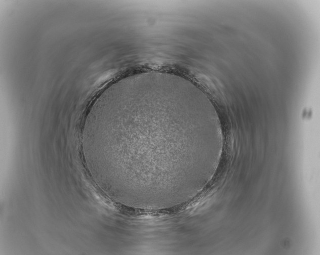 X0000094201105200711021045