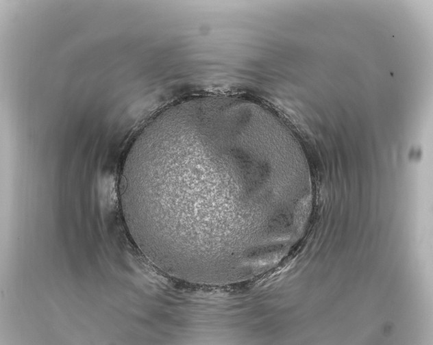 X0000094201106200711021045