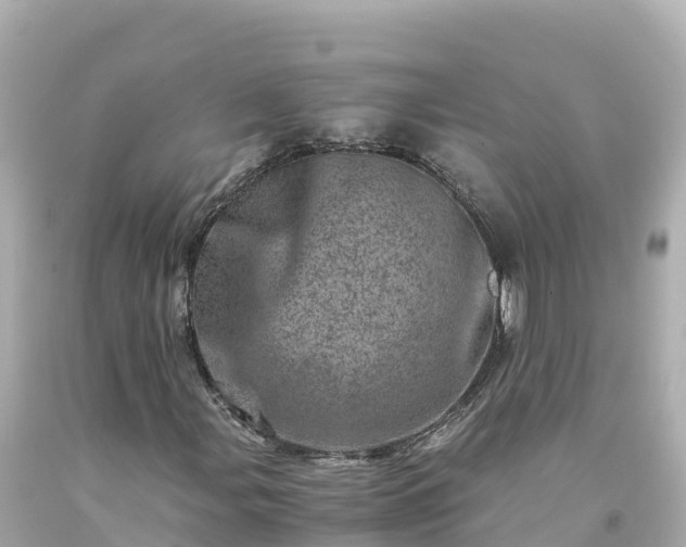 X0000094201107200711021045