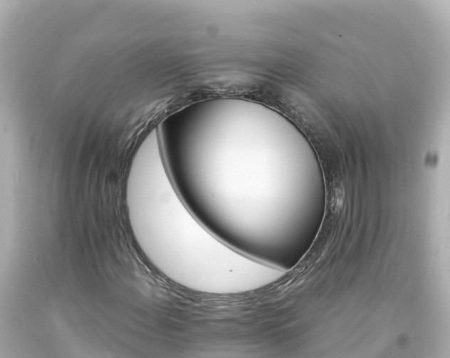 X0000094201108200711021045