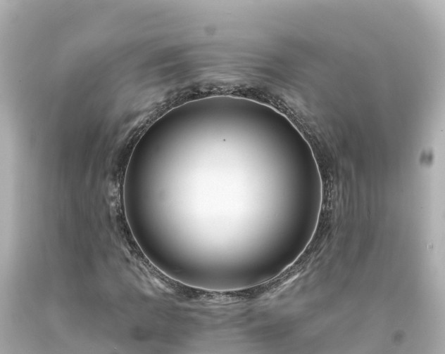 X0000094201109200711021045