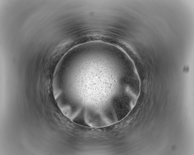X0000094201111200711021045