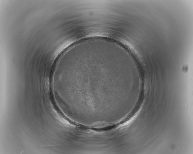 X0000094201113200711021045