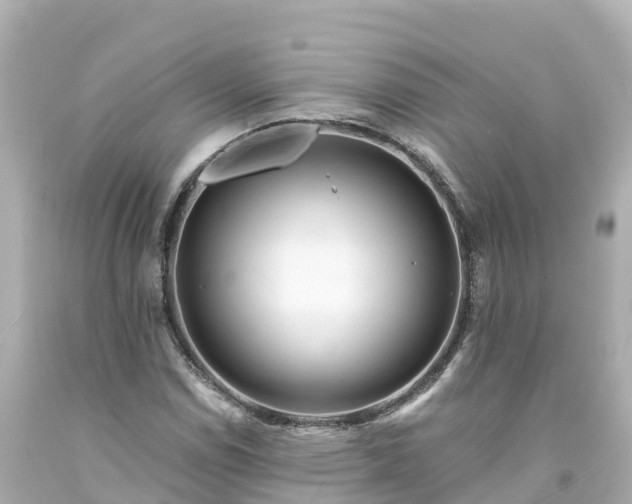 X0000094201114200711021045