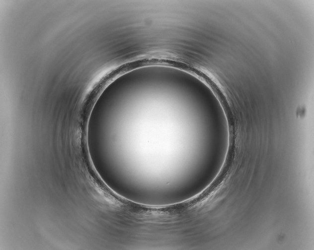 X0000094201115200711021045