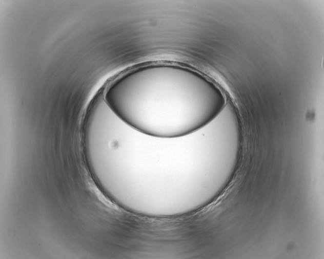 X0000094201116200711021045
