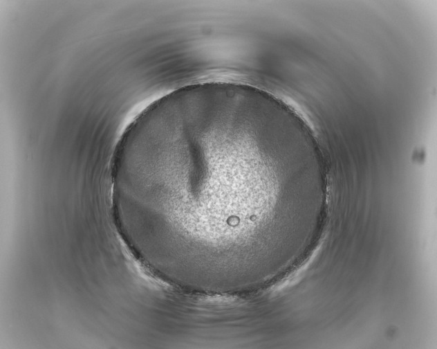 X0000094201117200711021045