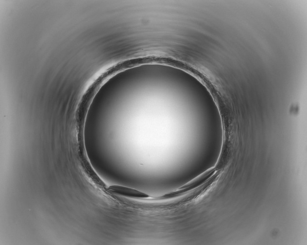 X0000094201118200711021045