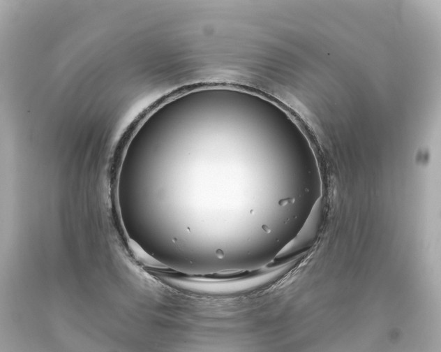 X0000094201120200711021045