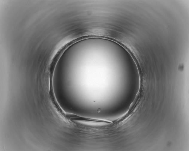 X0000094201123200711021045