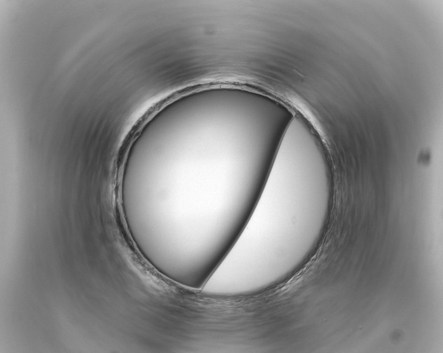 X0000094201124200711021045