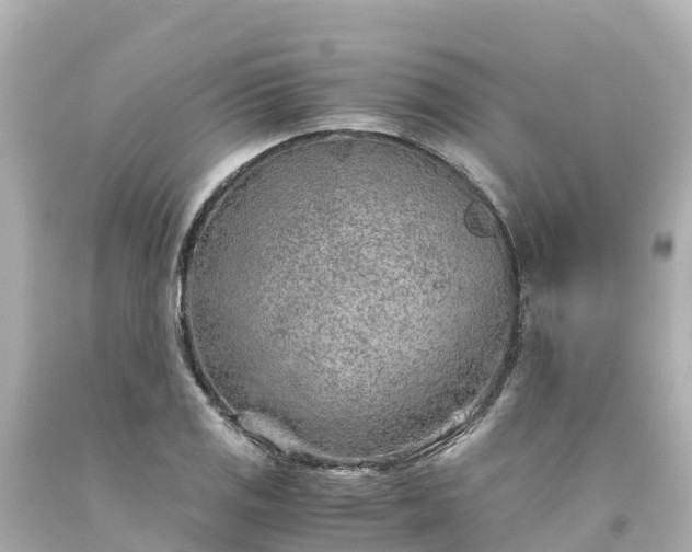 X0000094201125200711021045