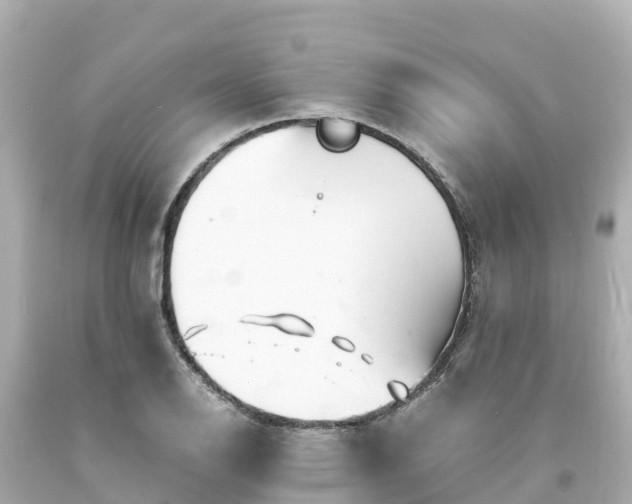 X0000094201126200711021045