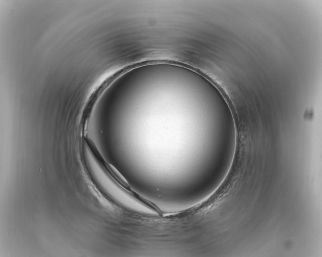X0000094201127200711021045