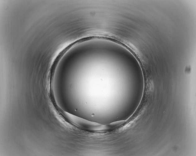 X0000094201128200711021045