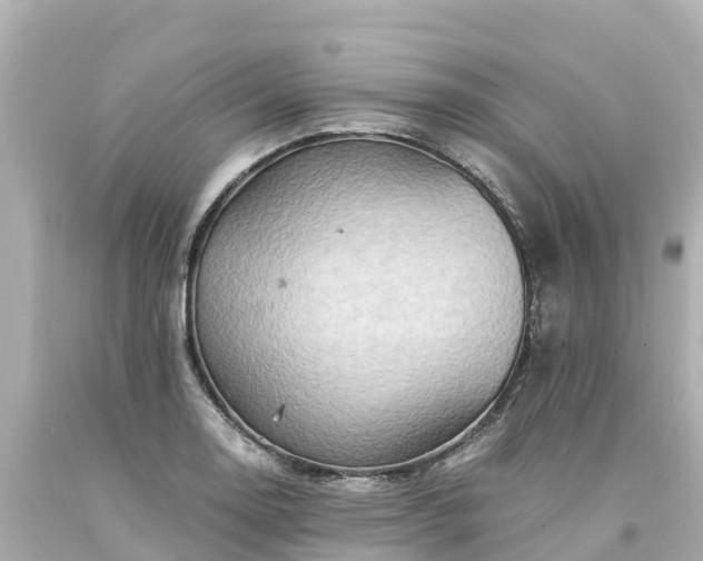 X0000094201130200711021045