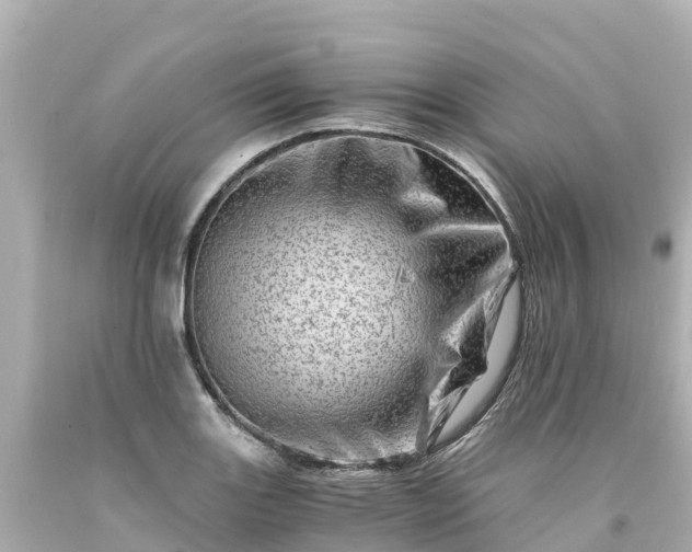 X0000094201131200711021045