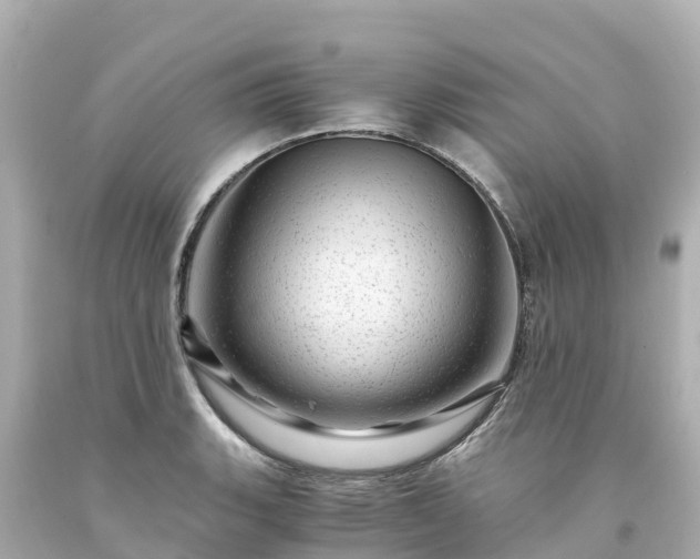 X0000094201135200711021045