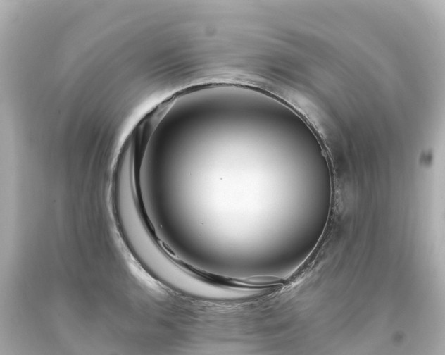 X0000094201136200711021045