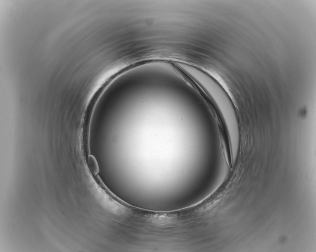 X0000094201139200711021045