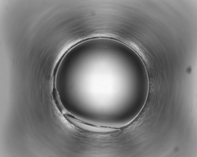 X0000094201140200711021045