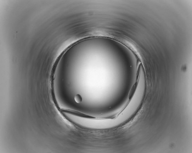 X0000094201141200711021045
