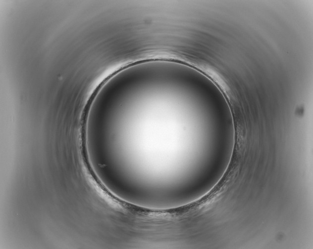 X0000094201142200711021045