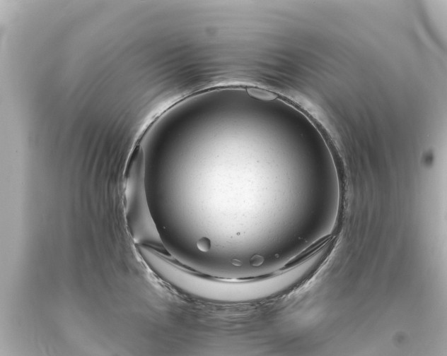 X0000094201145200711021045