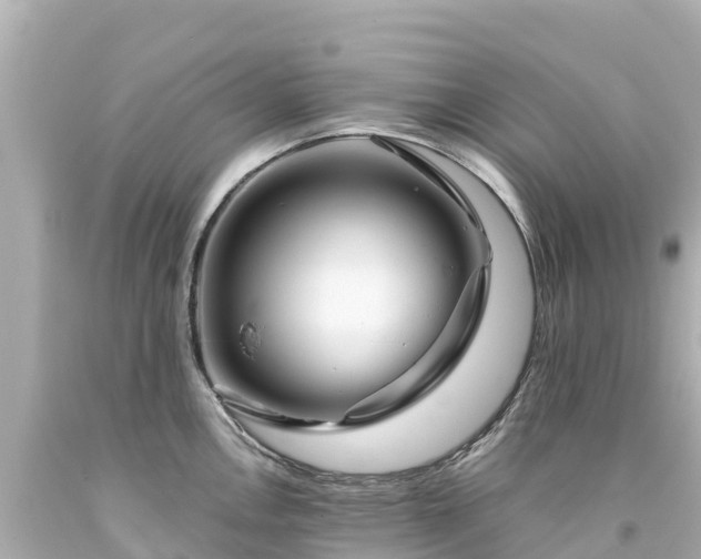 X0000094201146200711021045