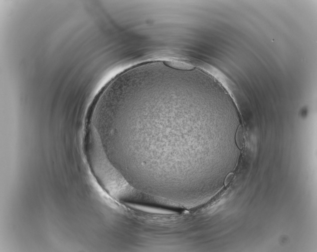 X0000094201147200711021045