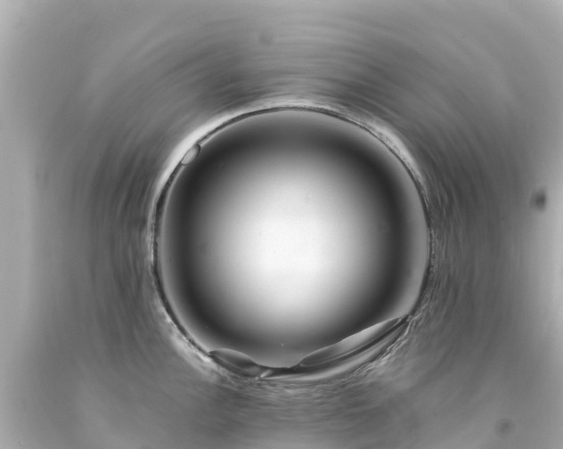 X0000094201148200711021045
