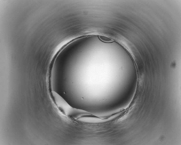 X0000094201149200711021045