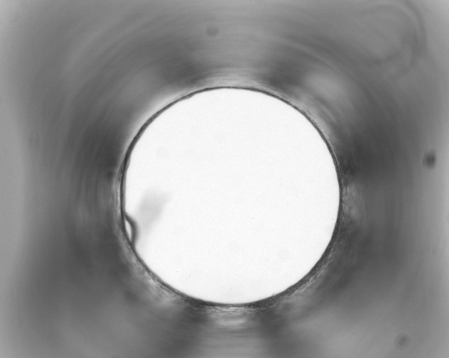 X0000094201150200711021045