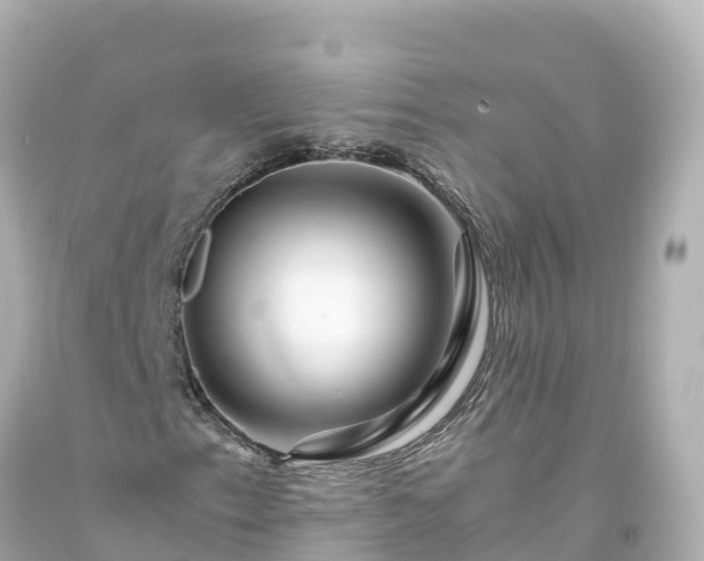 X0000094201153200711021045